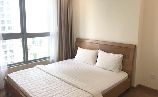 apartment for rent in binh thanh district BT105L539 (1)